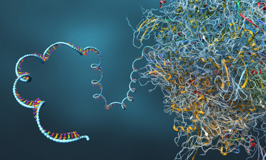 Ribosome as part of an biological cell constructing messenger RNA molecule - 3d illustration