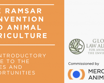 Ramsar Report
