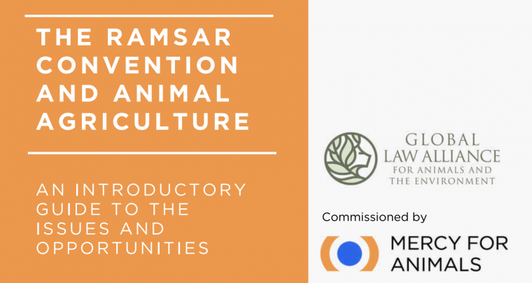 Ramsar Report