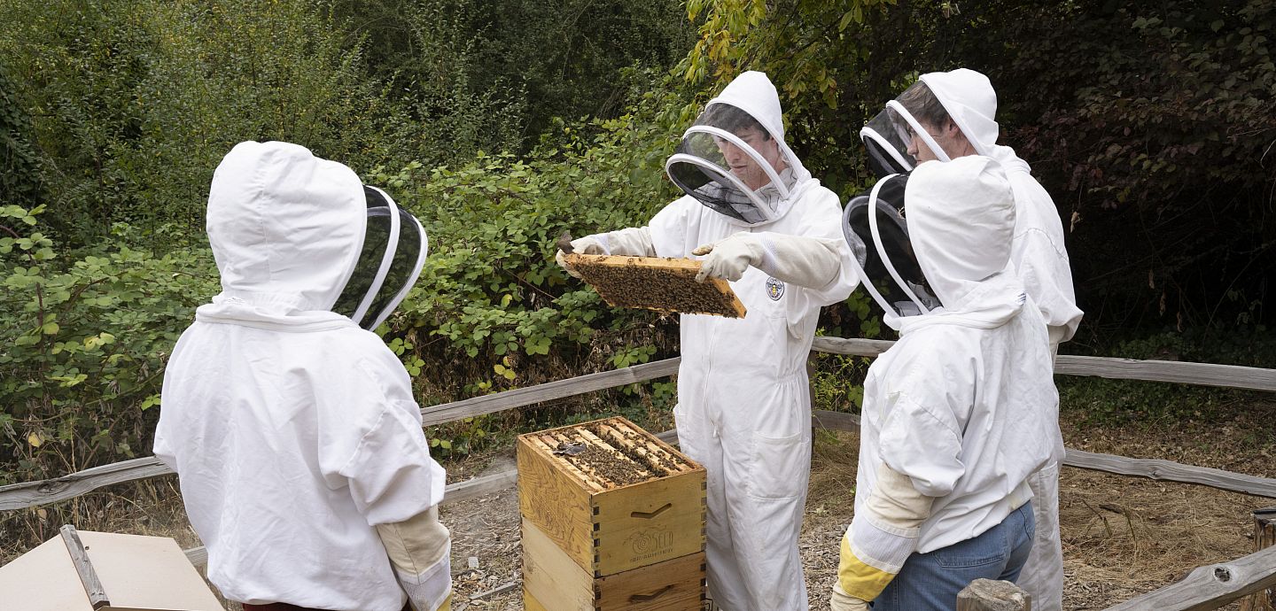 Students in bee suits engaging with a beehive.