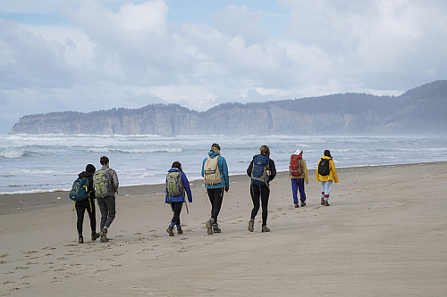 Image shows a group of people walking on the beach