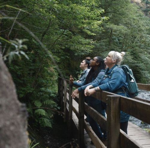 Three students practice forest meditations