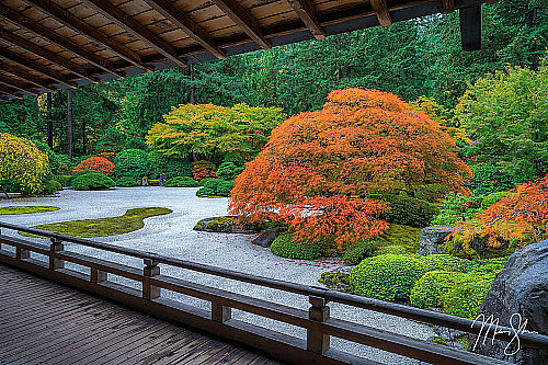 Japanese garden