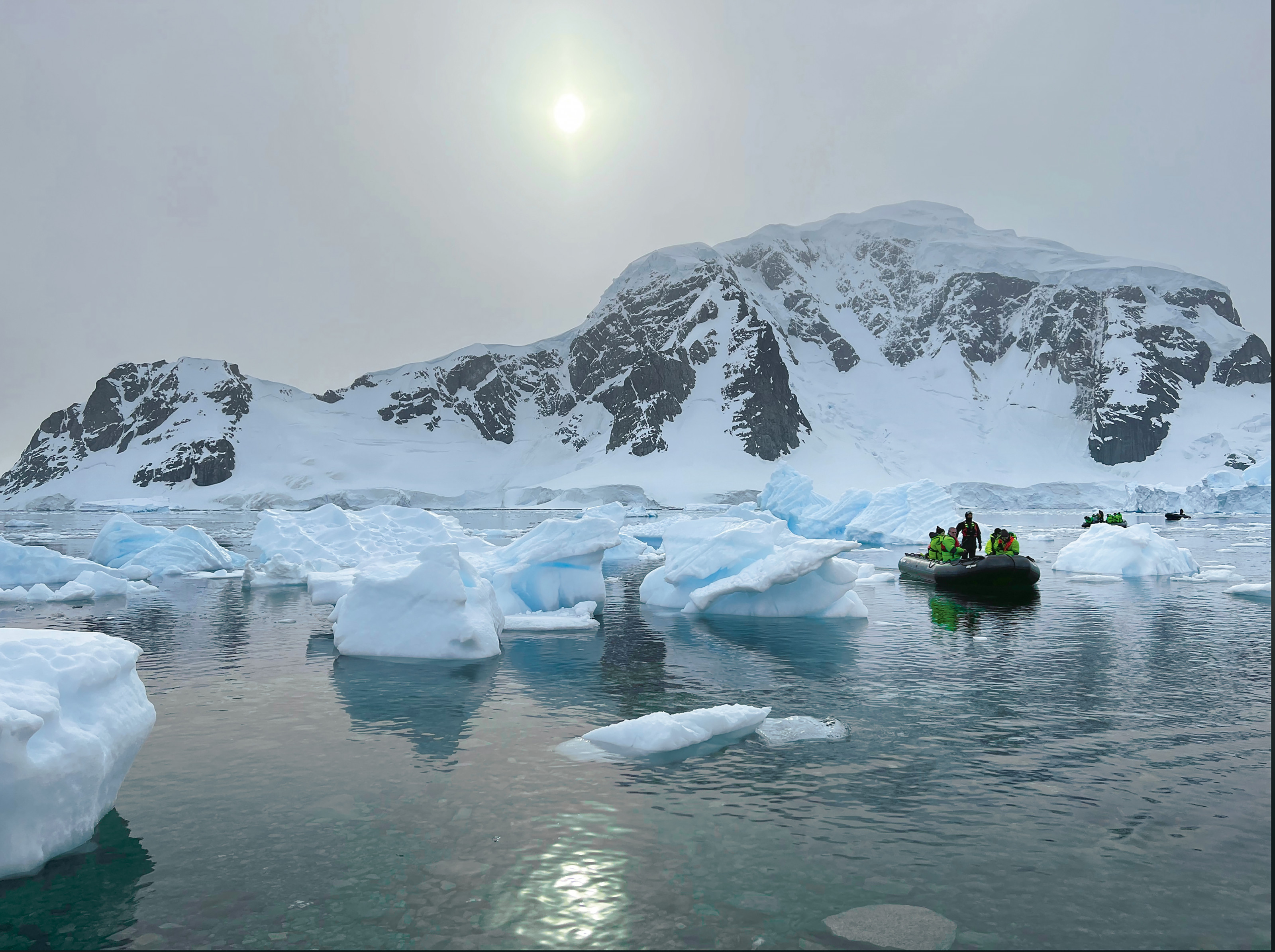    An Adventure in Antarctica     In January, a group of 37 intrepid travelers--led by Ken Clifton, professor of biology--experienced the...