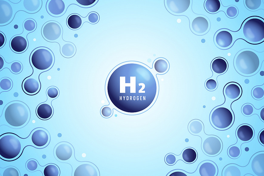 Hydrogen Molecule