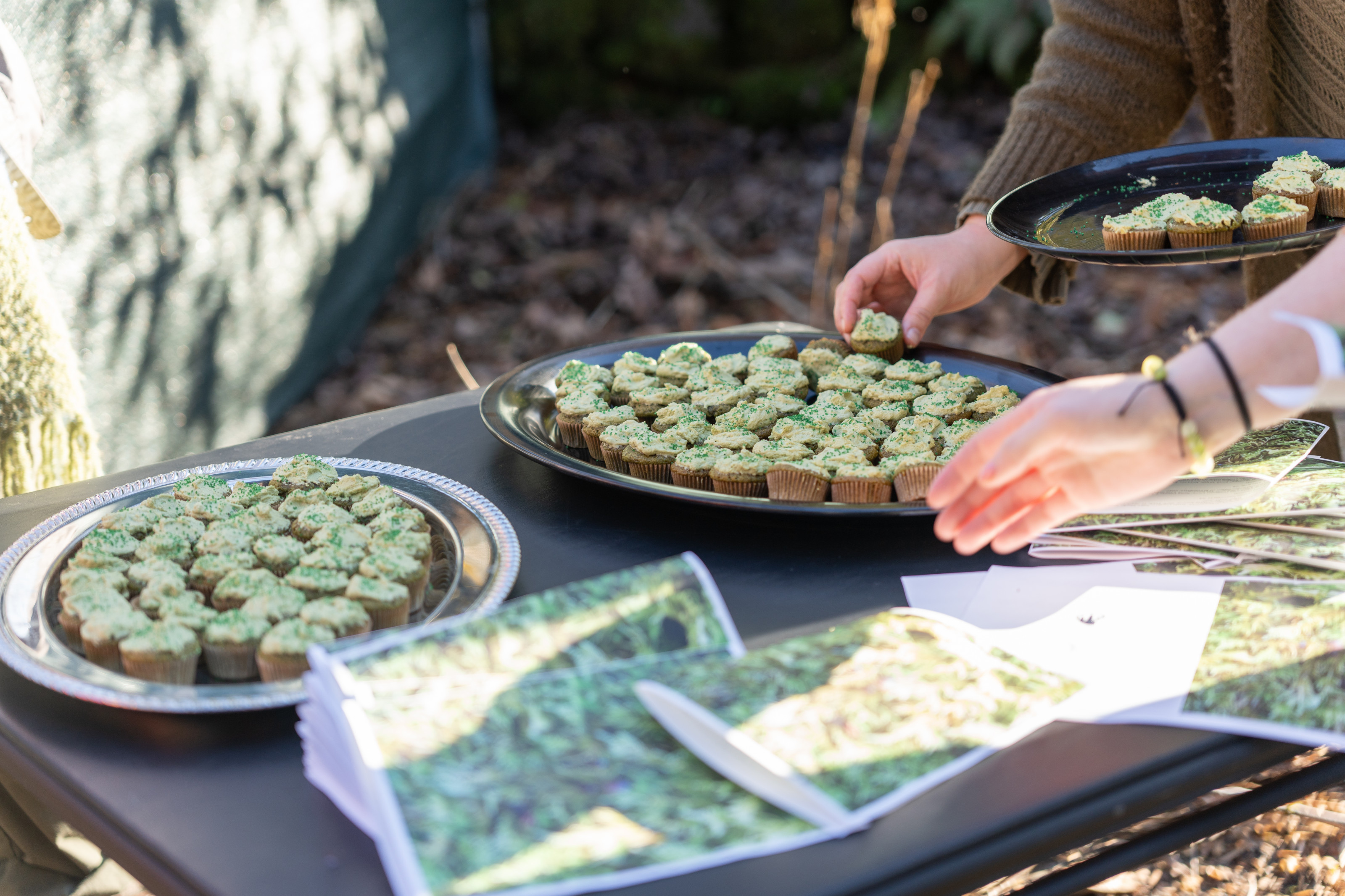 Green cupcakes.