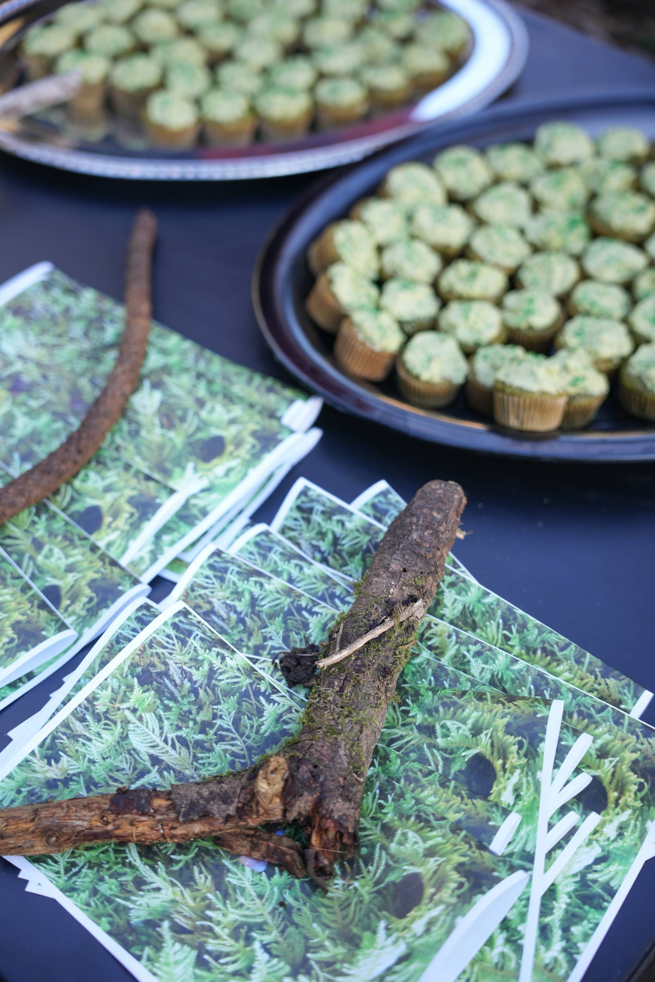 A close-up of green pamphlets and cupcakes.