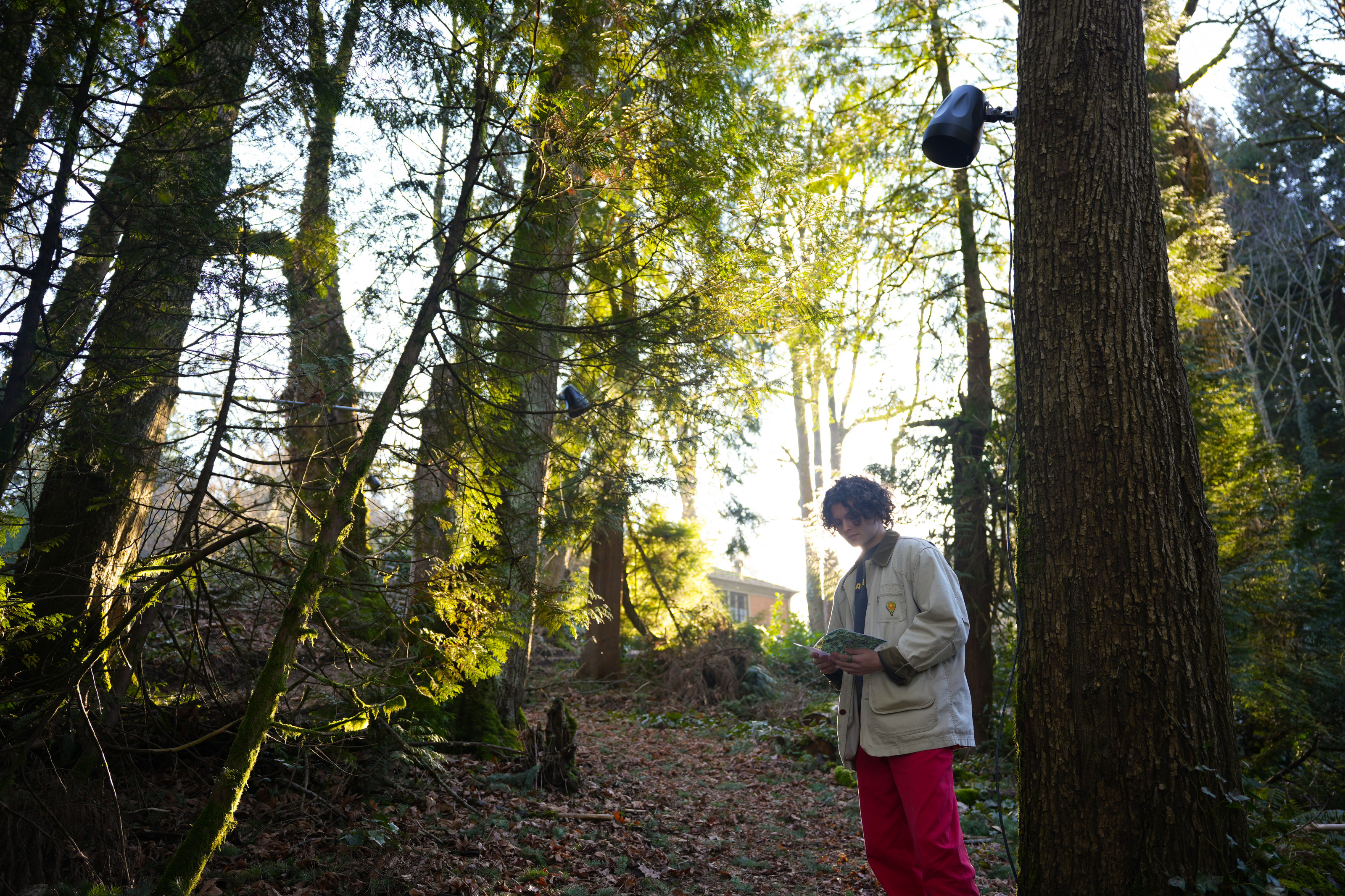 A student standing in a forest.