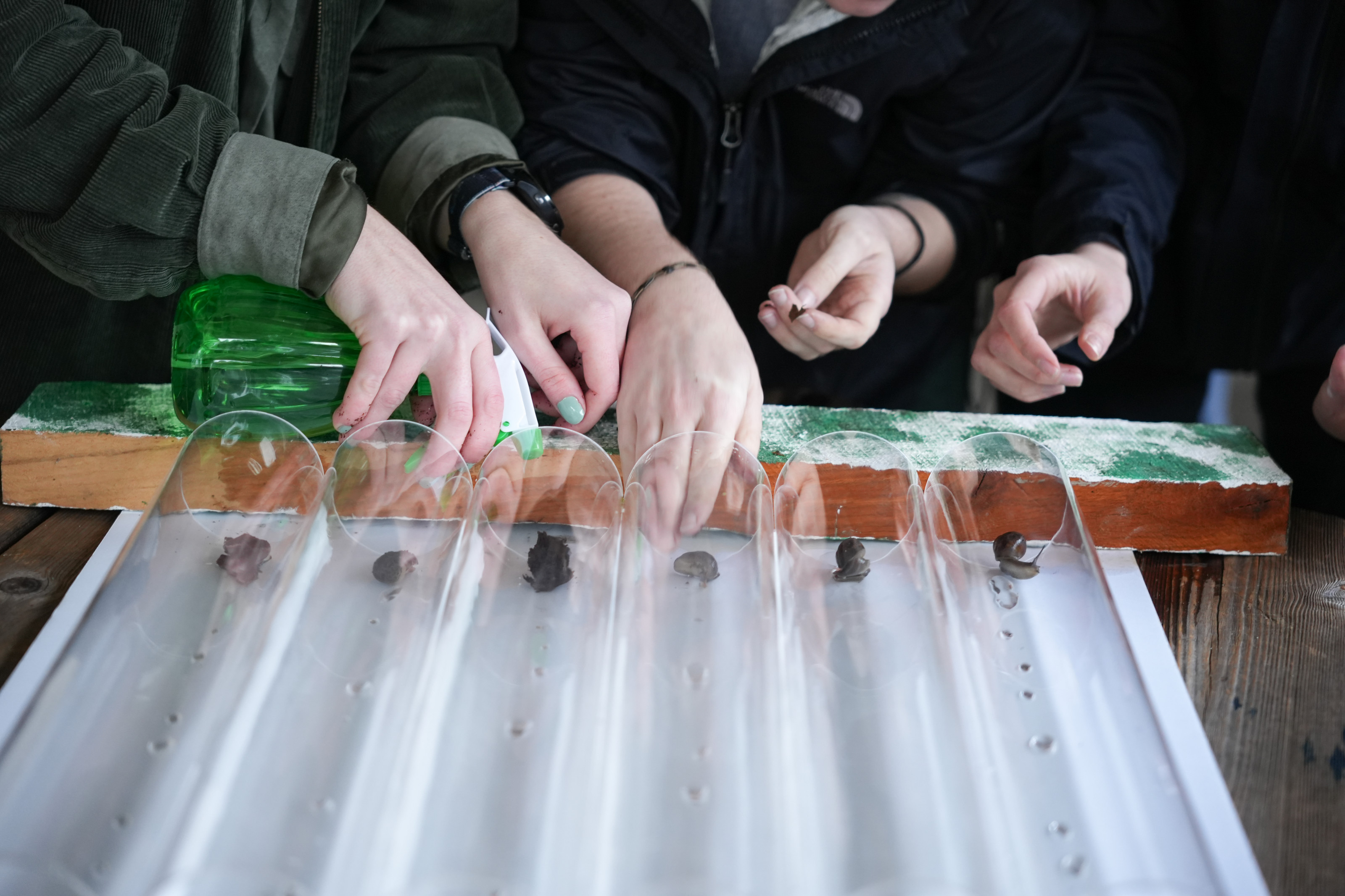 Close up of hands placing slugs into racing channels.