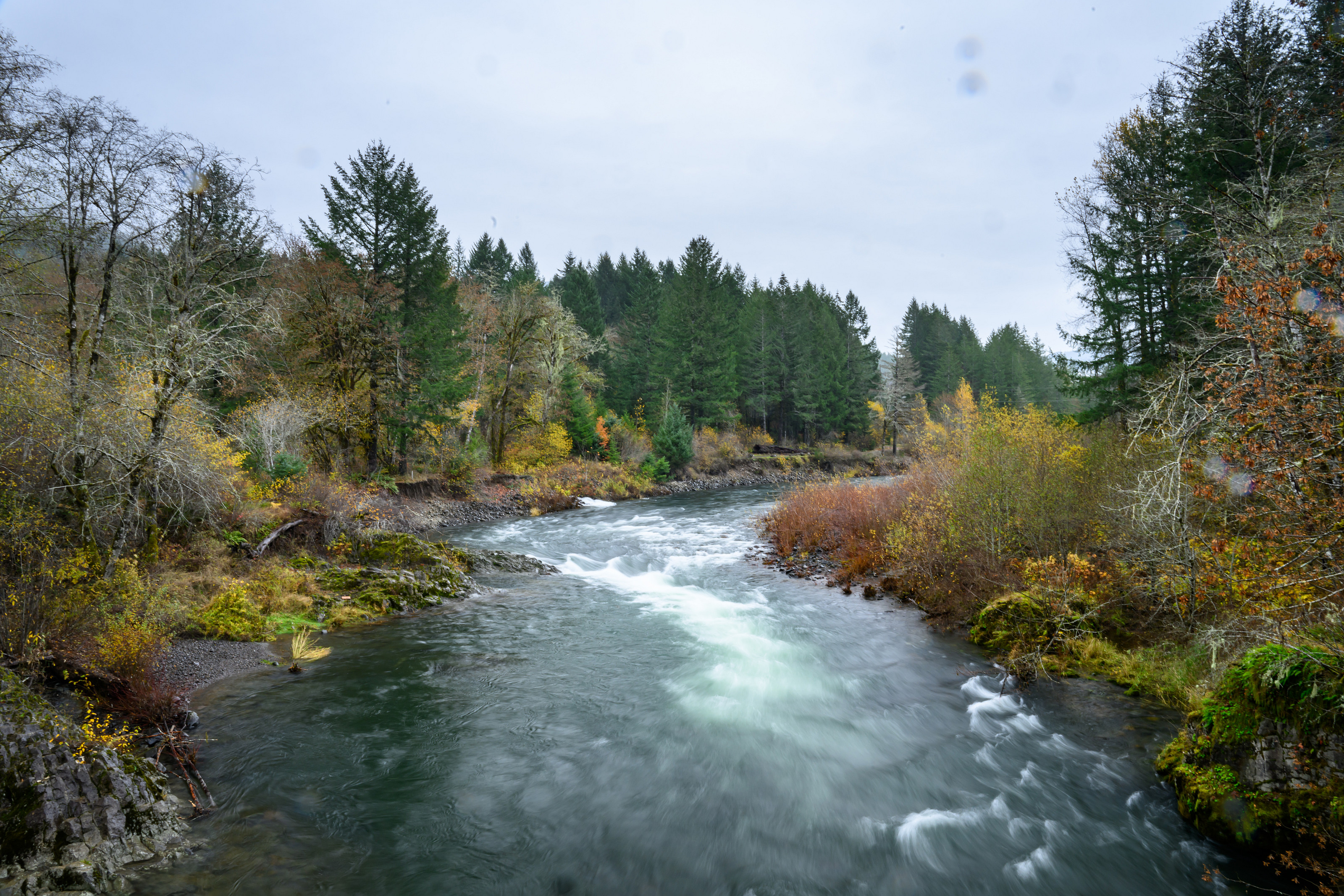 The Tillamook Forest Center's annual Rain Festival focuses on rivers, spawning salmon, and the inner workings of watersheds to celebrate ...