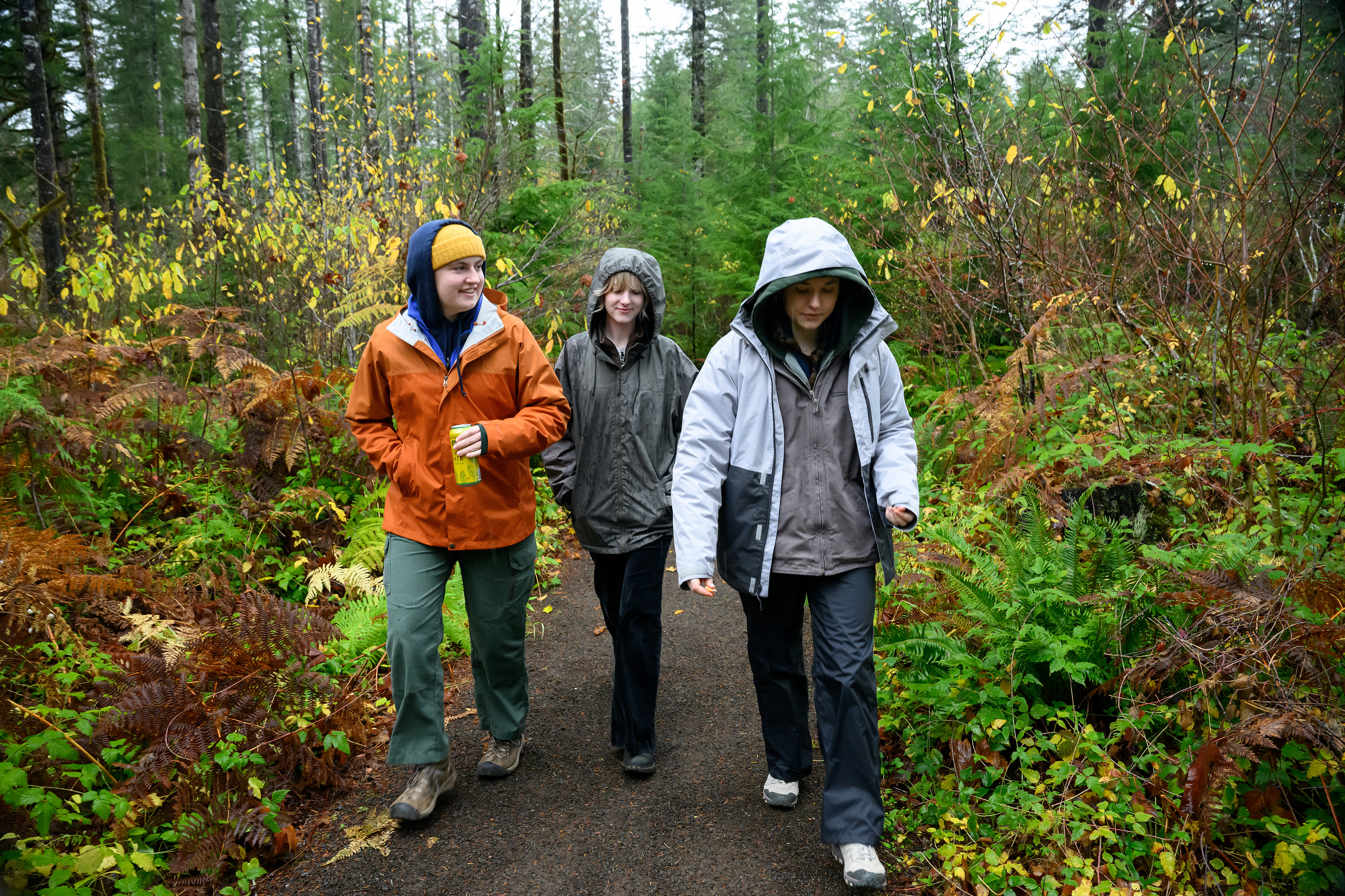    The Rain Festival is a free event providing the public with activities including a salmon release, guided walks, crafts, and displays ...