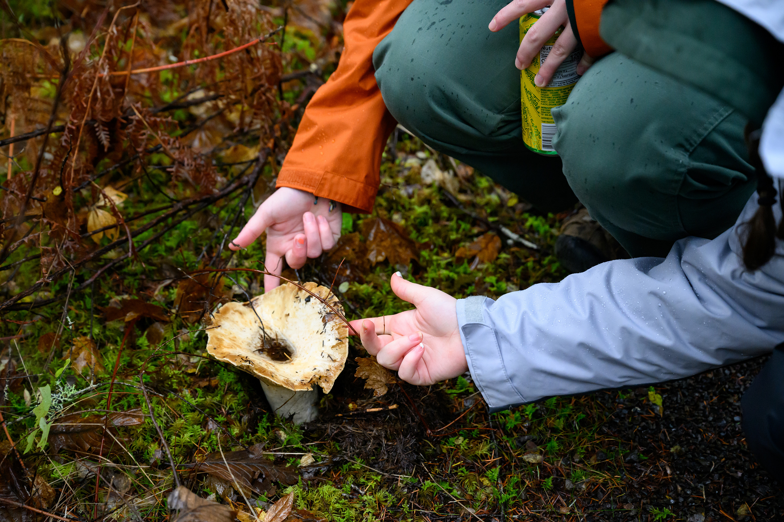 Students literally get hands-on experience at Lewis & Clark.