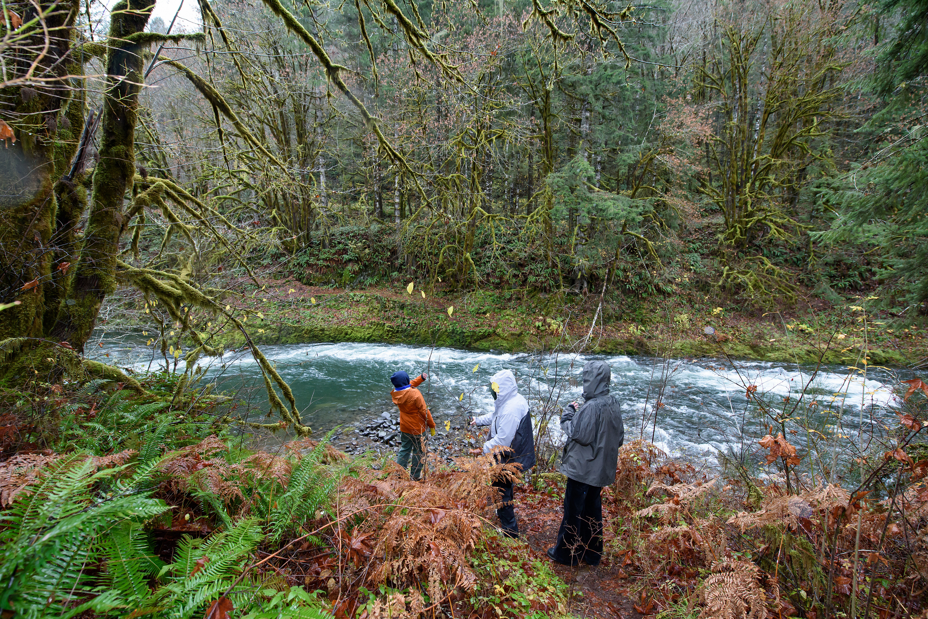 Connecting with nature and communities across boundaries is a cornerstone of Lewis & Clark's environmental studies program.