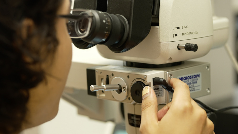 A student in the Weissman Lab uses L&C's confocal microscope, a specialized instrument that generates high-resolution images of ...