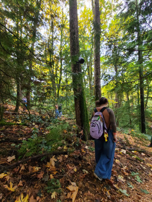 Student walking outside in the forest near trees with speakers attached to their trunks.