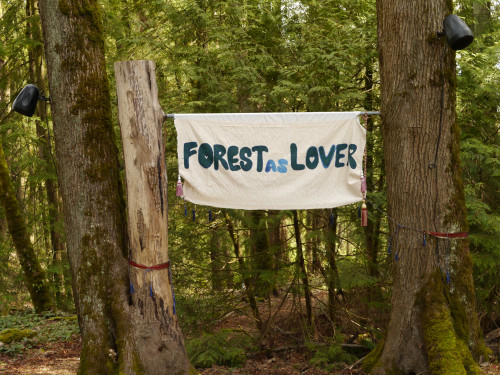 A poster that reads Forest as Lover hangs between two trees in a forest.