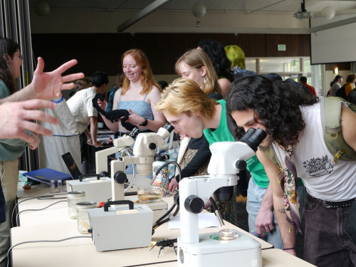 Two students using microscopes.