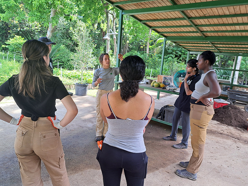 Students learn about Para La Naturaleza, a conservation-focused organization, before their tree transplanting project. (Puerto Rico)