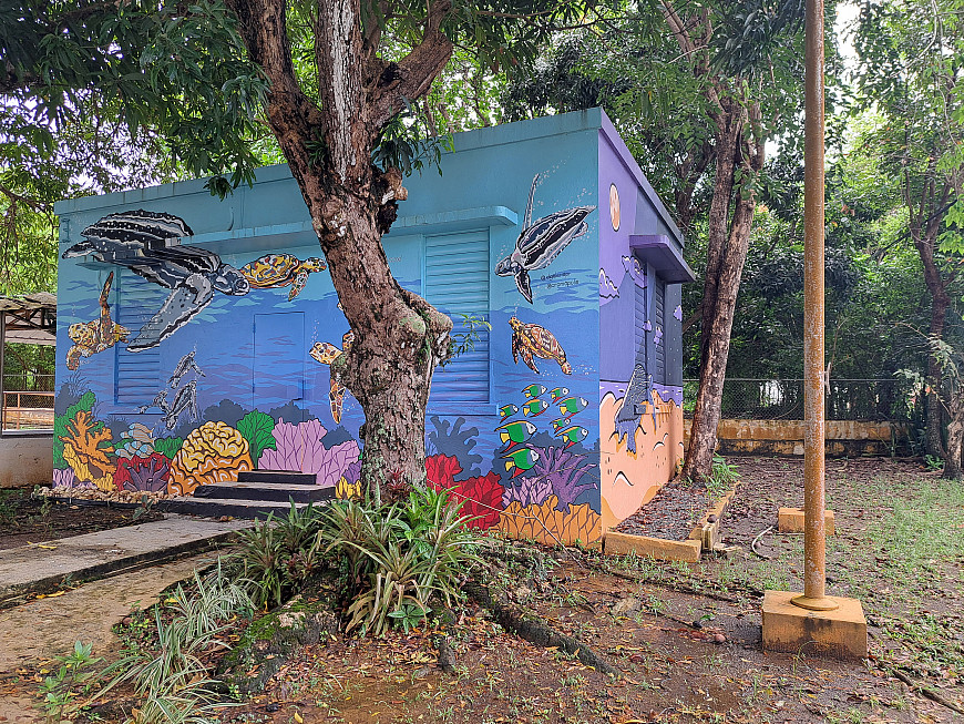 A community mural in Luquillo, a coastal town in Puerto Rico.